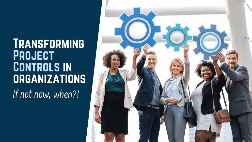 Project Controls in Organizations
